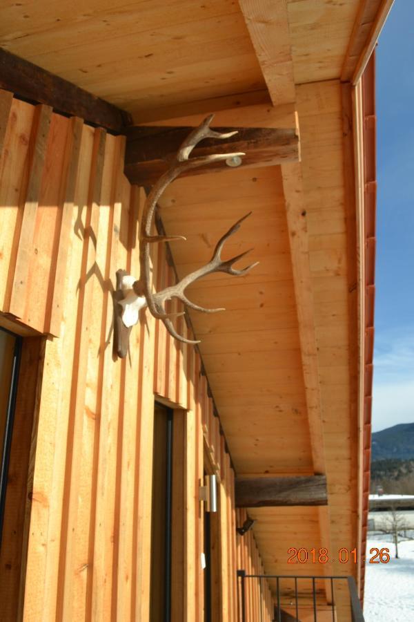 Private Luxury Chalet 希格斯多夫 外观 照片