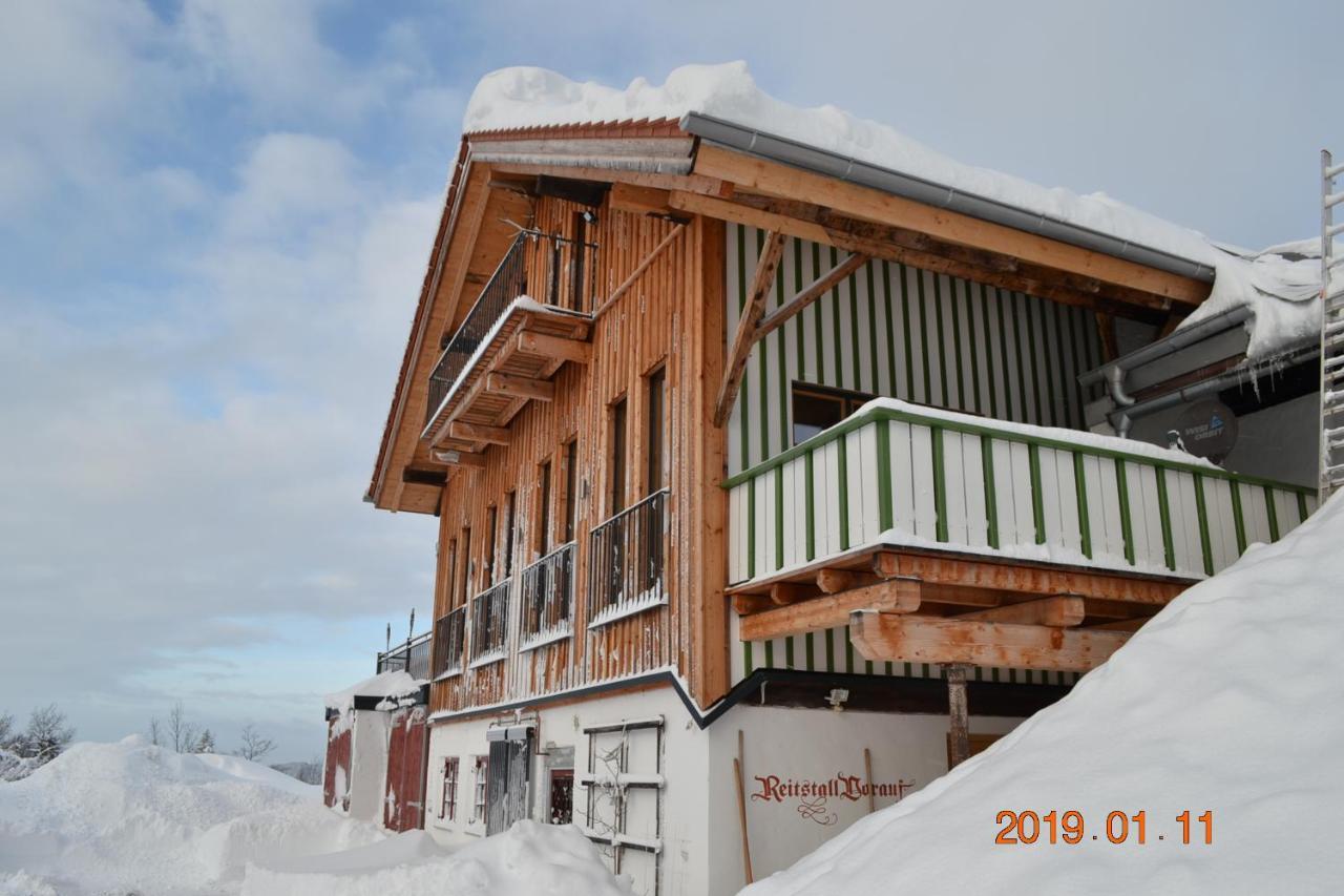 Private Luxury Chalet 希格斯多夫 外观 照片