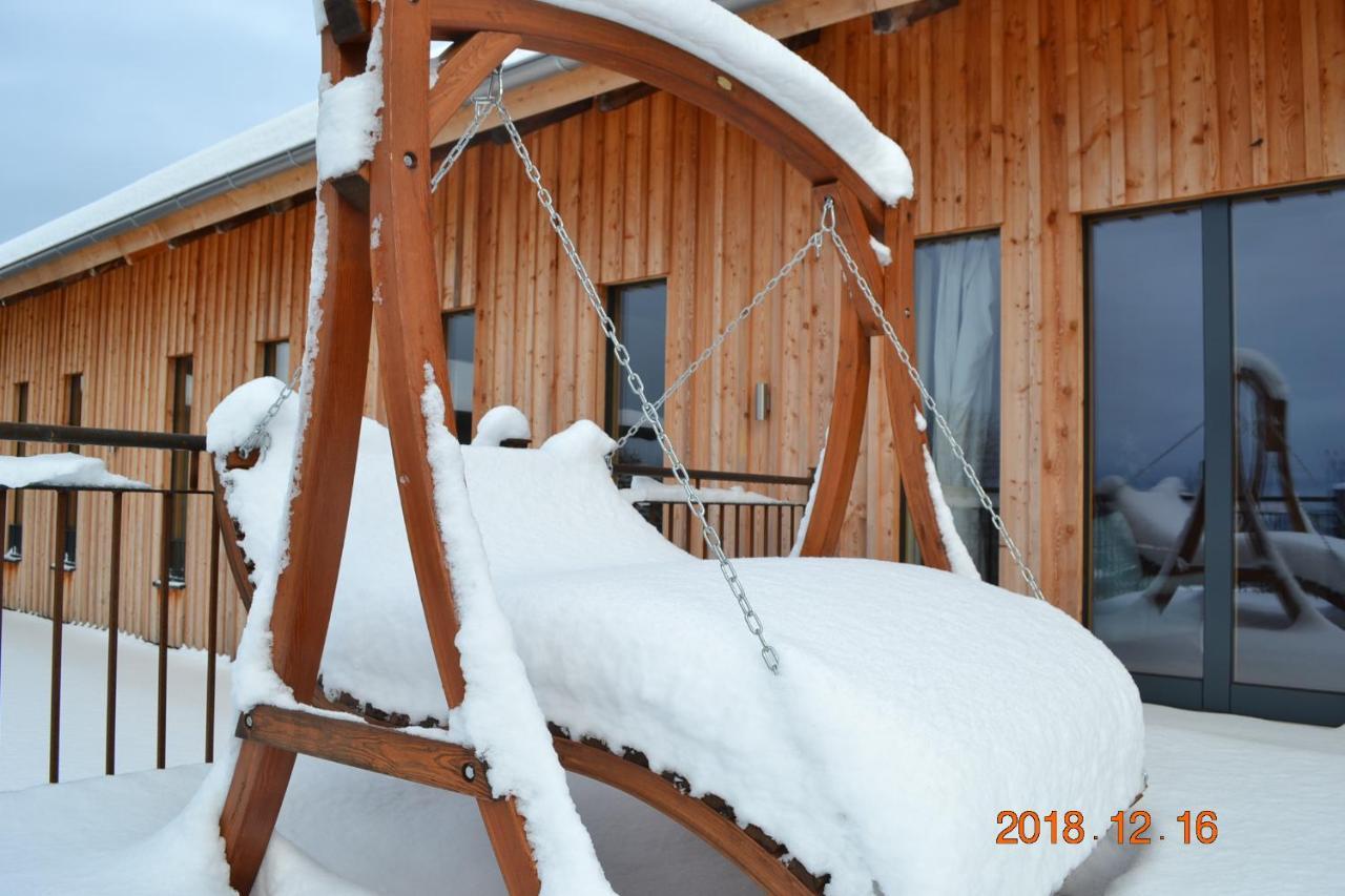 Private Luxury Chalet 希格斯多夫 外观 照片
