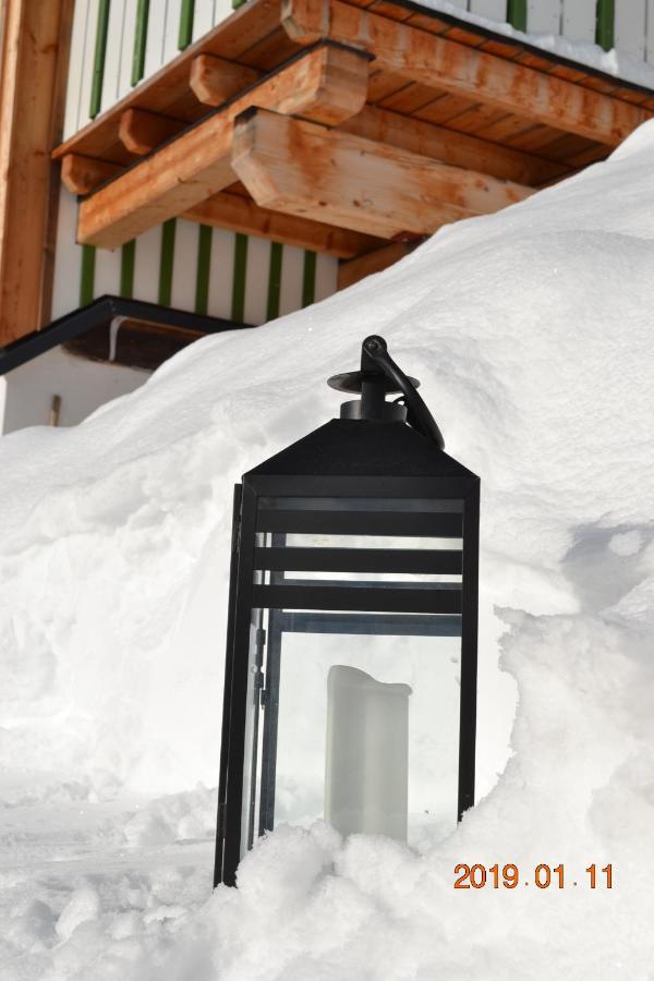 Private Luxury Chalet 希格斯多夫 外观 照片