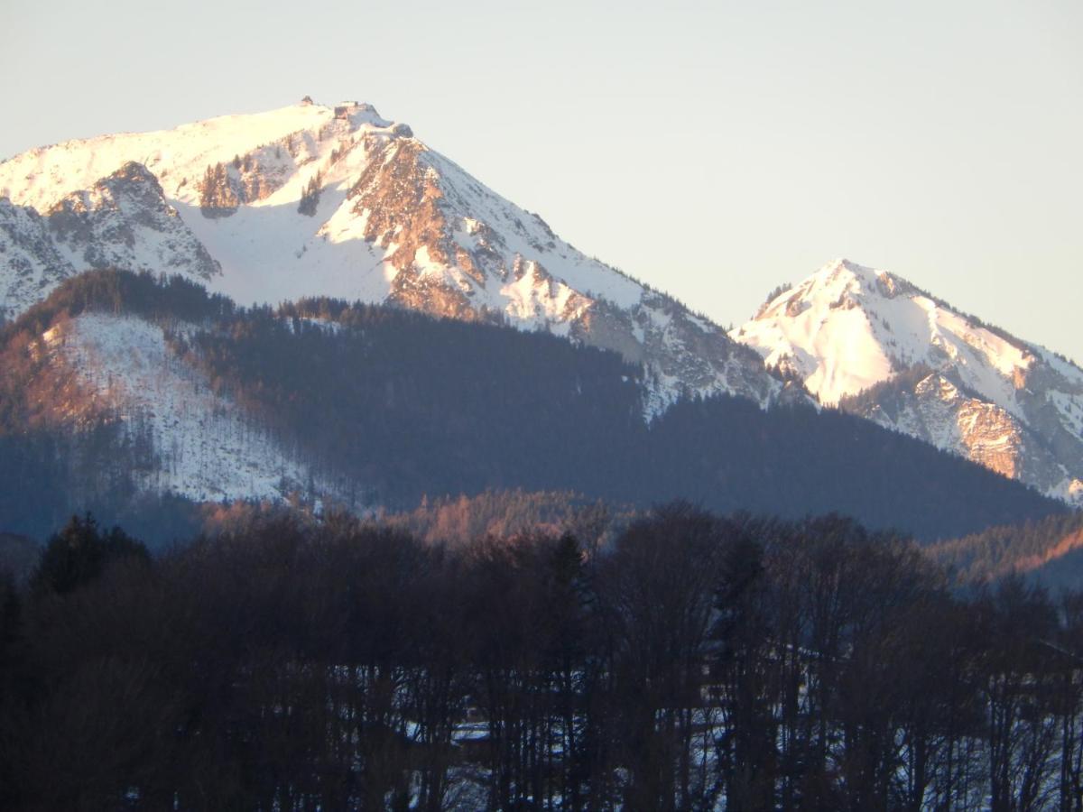 Private Luxury Chalet 希格斯多夫 外观 照片